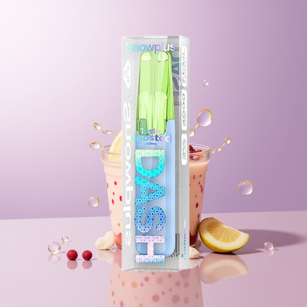 Snowplus Dash 4000 puffs Cerâmica 75ml Ludou Gelo