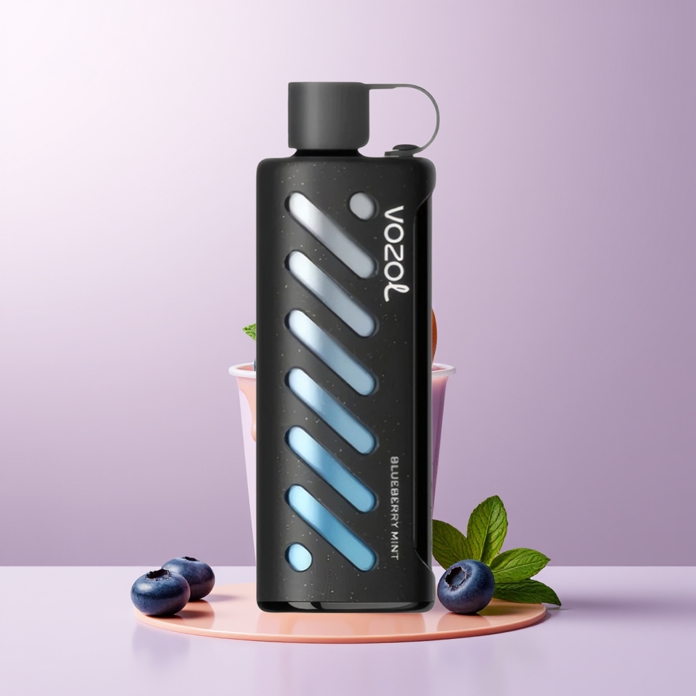 VOZOL Gear Shisha 25000 puffs Dual Mesh Mirtilo Hortelã