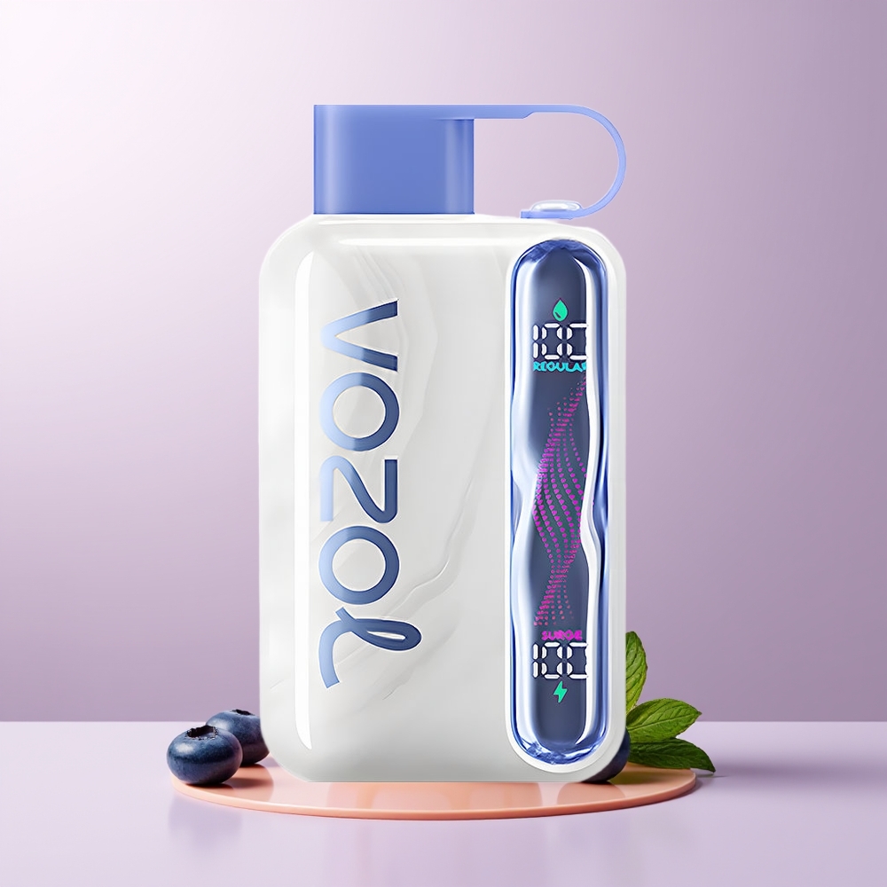 VOZOL STAR 40000 puffs 1000mAh Type-C Mirtilo Menta