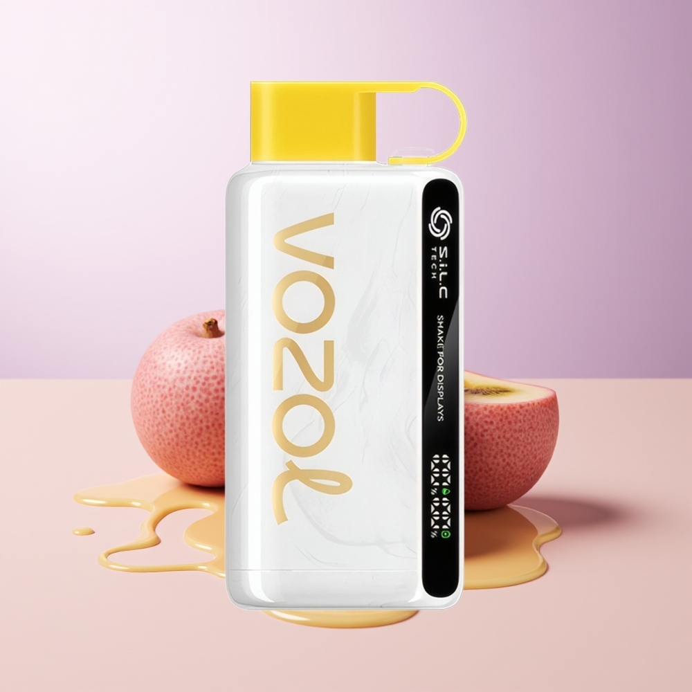 VOZOL STAR 9000/12000 Recarregável Rápido 30 Kiwi Maracujá Goiaba