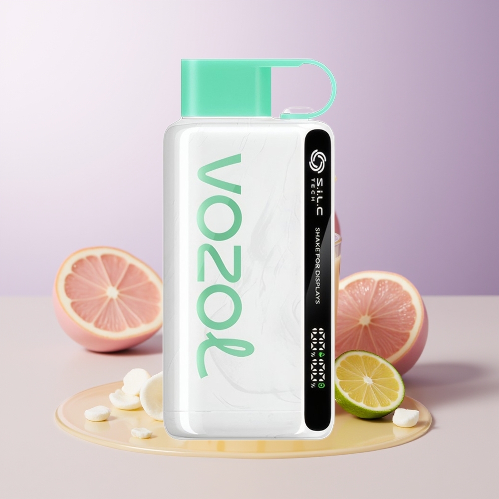 VOZOL STAR 9000/12000 Recarregável Rápido 650mAh Limão Menta
