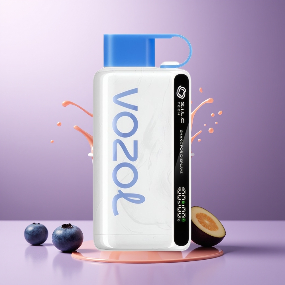VOZOL STAR 9000/12000 Recarregável Rápido Tempestade de Mirtilo