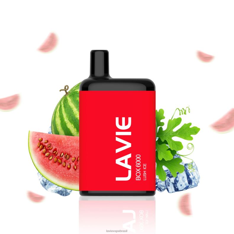 gelo exuberante LAVIE BOX 6.000 baforadas 6X422199 | Lavie Vape Sabor