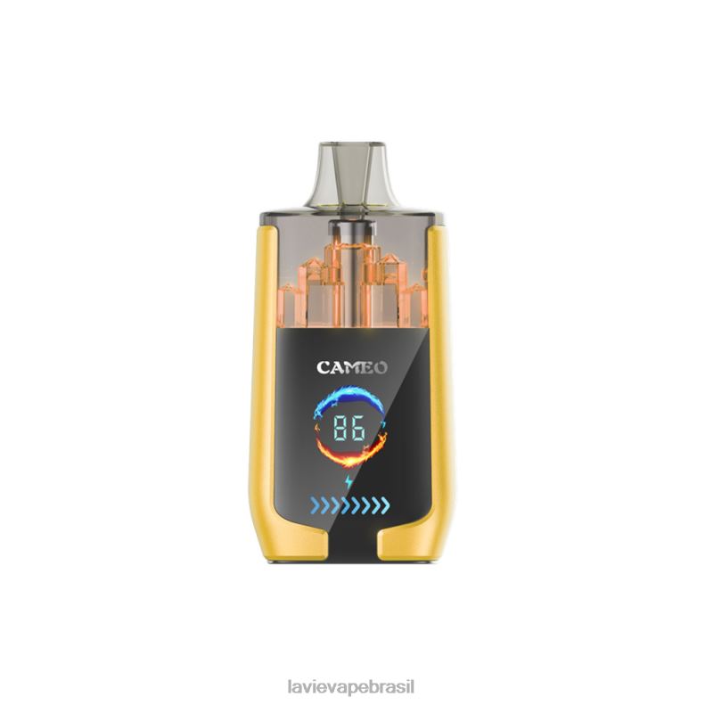 gelo de manga LAVIE CAMEO 30.000 baforadas 6X42221 | Lavie Vape Reddit